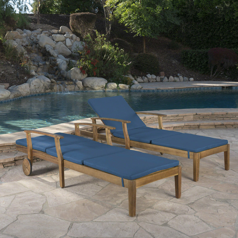 Mistana Antonia Reclining Chaise Lounge with Cushion & Reviews Wayfair